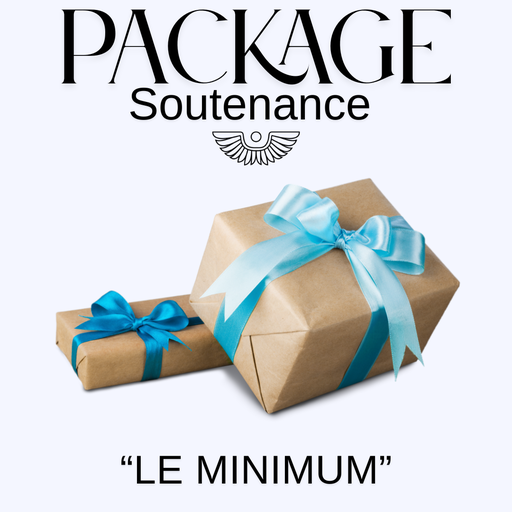 [DEC LE MINIMUM] Formation DEC - Package soutenance "Le minimum"