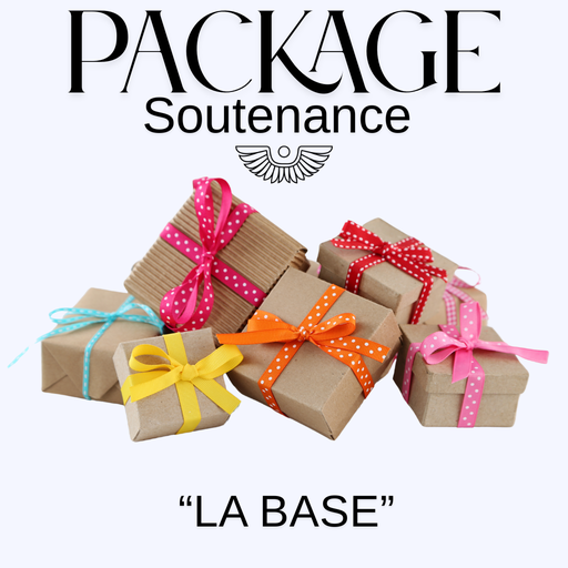 [DEC LA BASE] Formation DEC - Package soutenance "La base"
